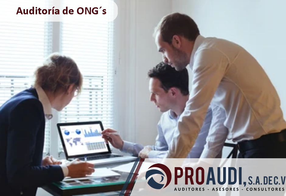 Auditoria de ONG´s