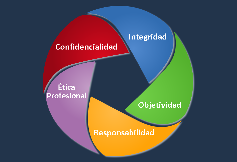 PROAUDI, Principios y Valores